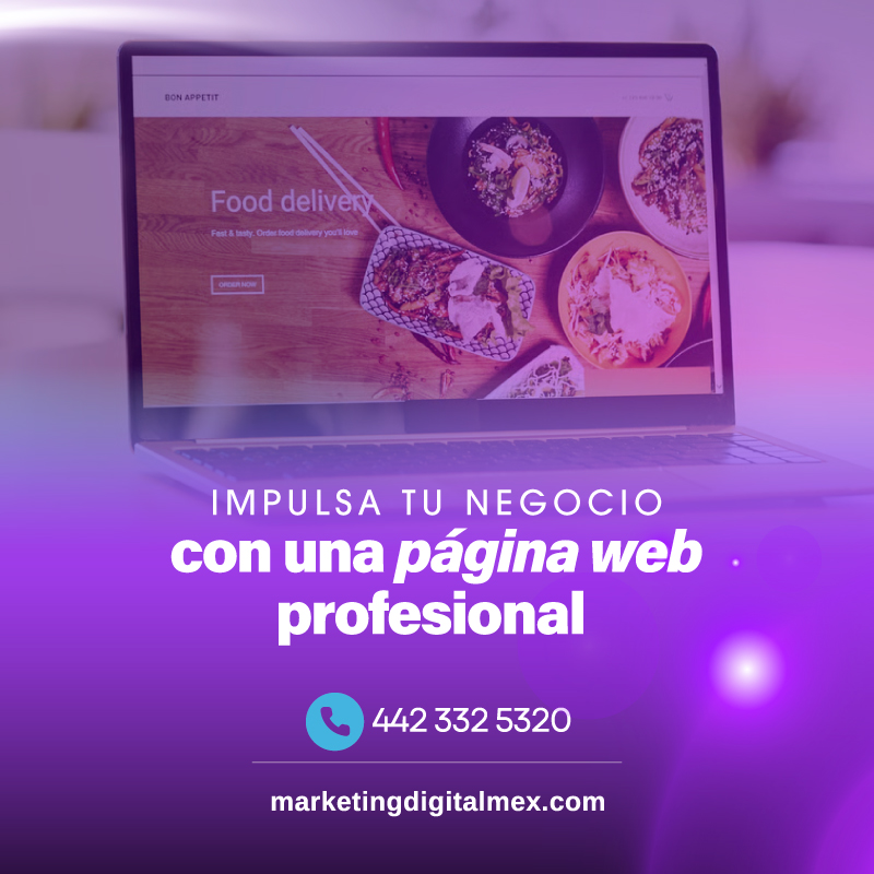 Marketing Digital Mex: tu sitio web profesional